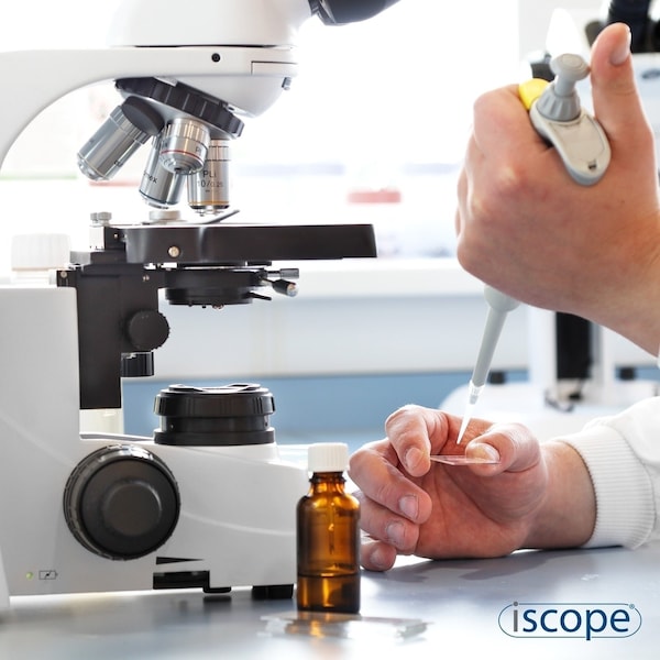 IScope 50X-1000X Trinocular Polarization Compound Microscope W/ 5MP USB 3 Digital Camera